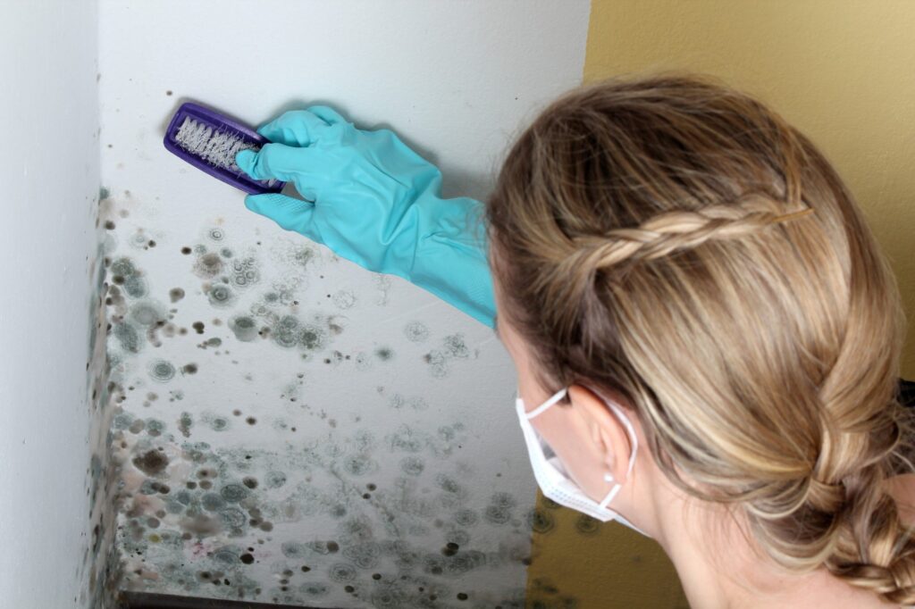 mold prevention